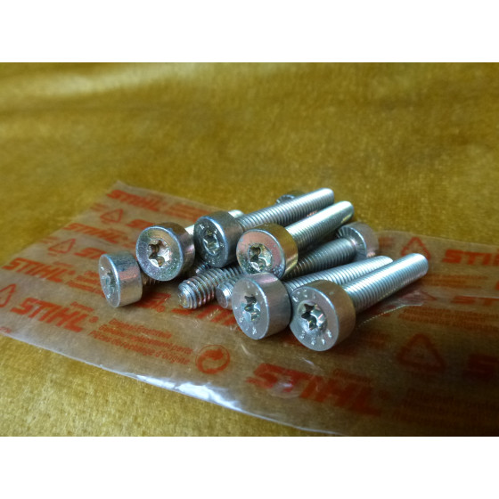 NEU Original Stihl 10x Schraube T27 IS-M6x35-10,9 9022 341 1380 / 90223411380 / 9022-341-1380